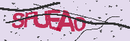 Captcha認証コード